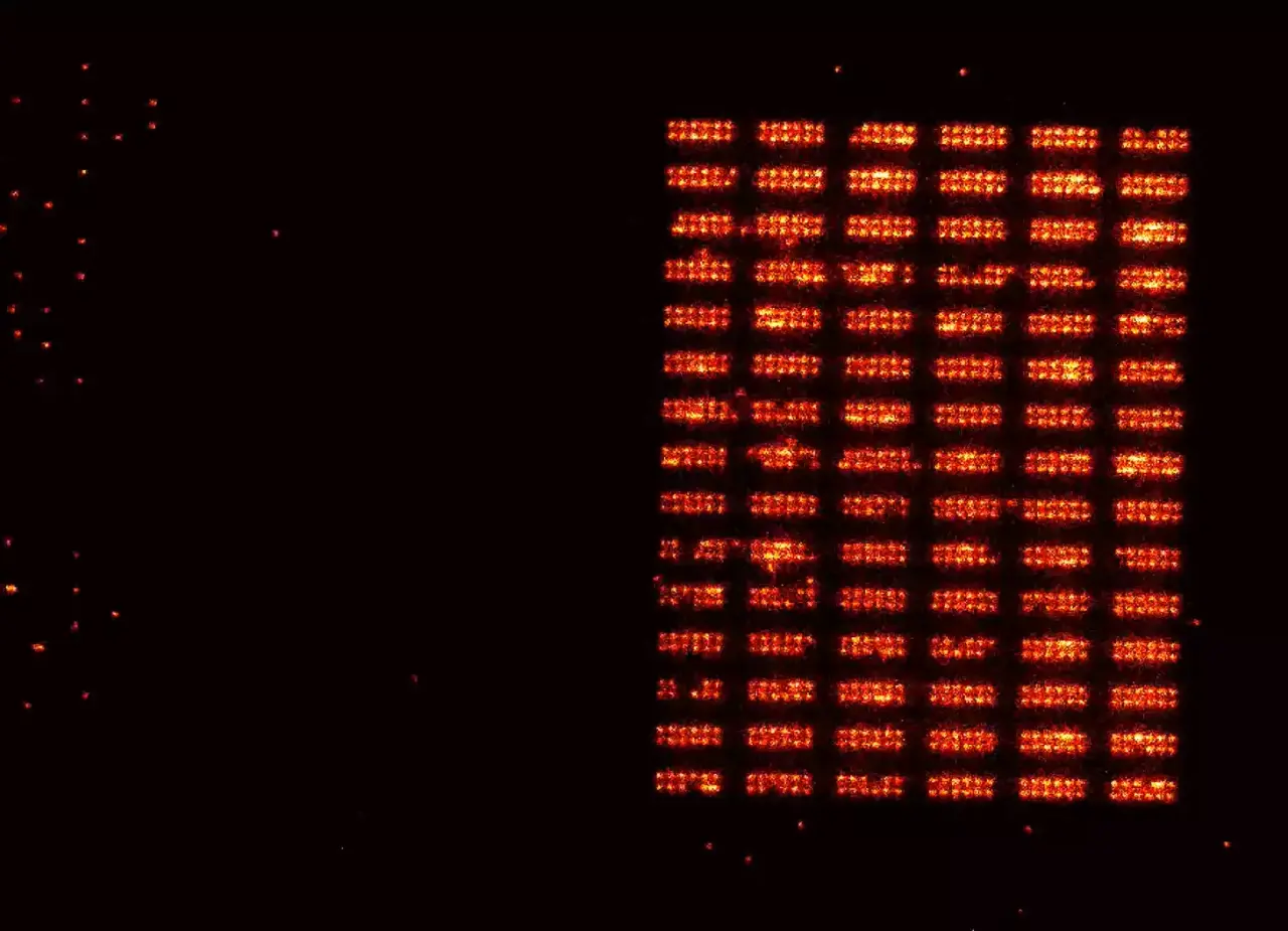 Quantum register based on neutral atoms moved from a loading zone (left) to the storage zone (right). By regularly replenishing the loading zone, the storage array can be built up and then operated continuously.