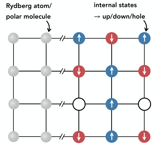 Graphic showing how Rydberg atoms or polar molecules are trapped in an optical tweezer array.